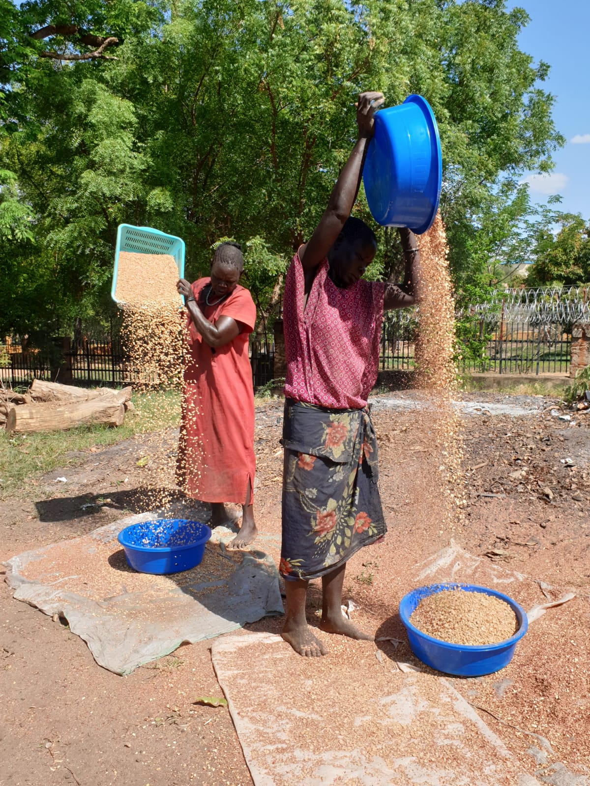 2019 burro di arachidi 1