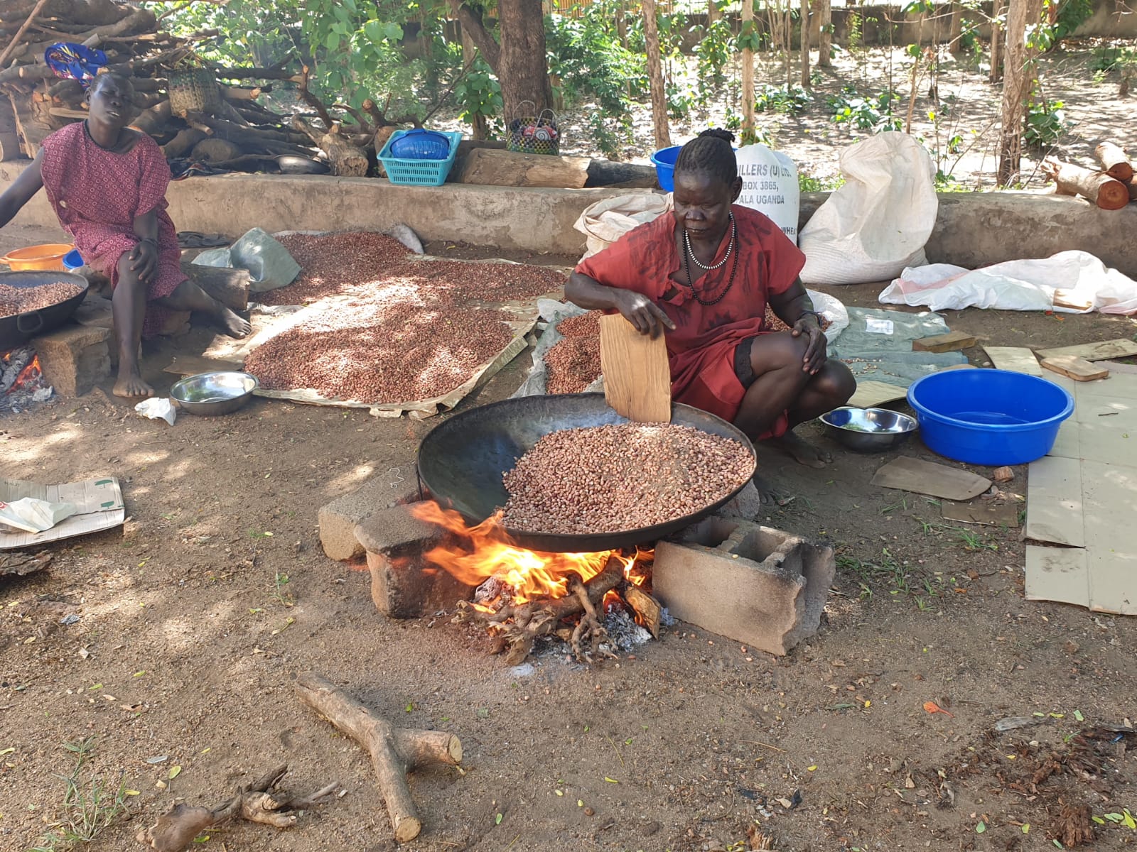 2019 burro di arachidi 5