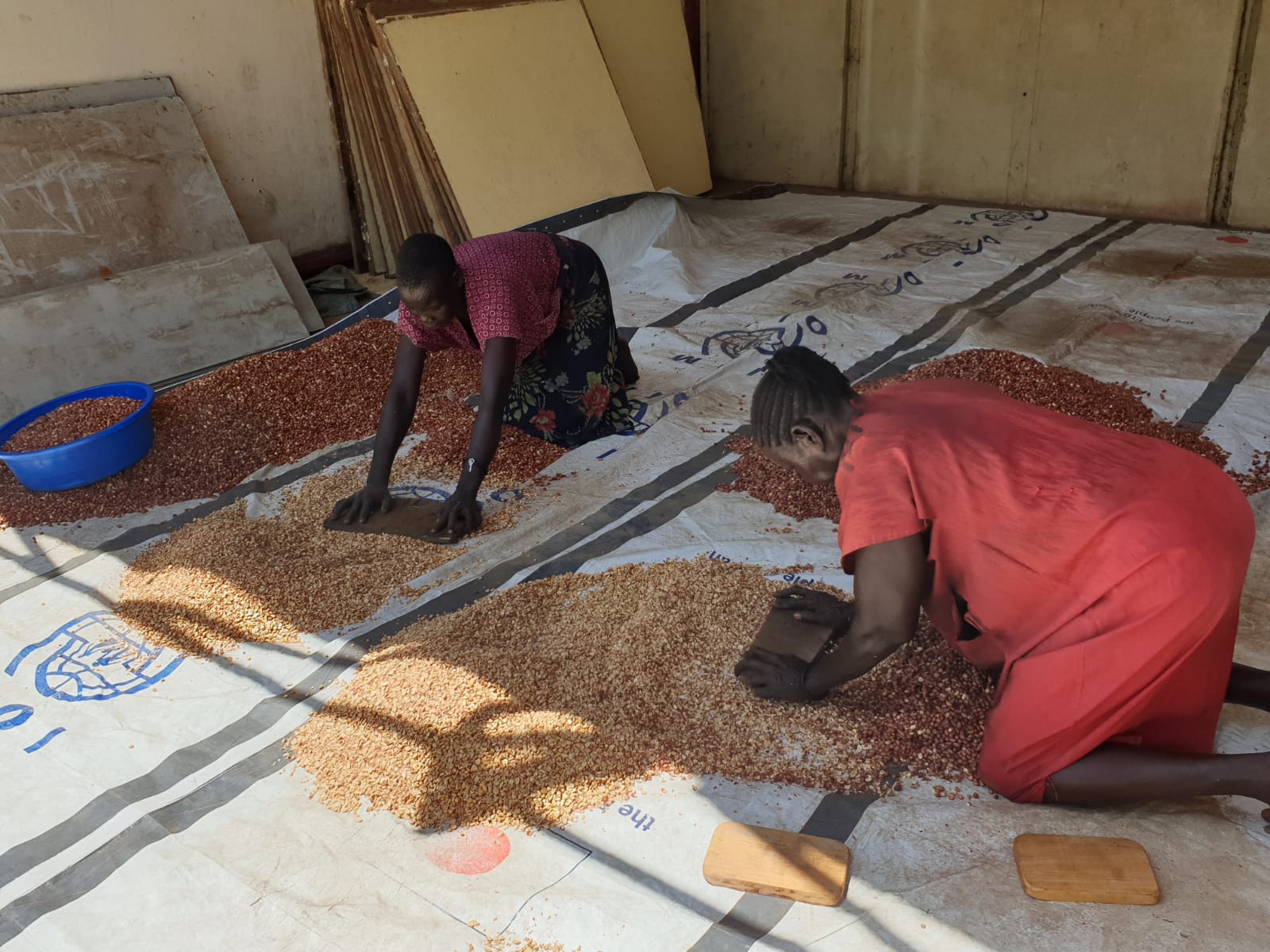 2019 burro di arachidi 8